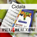 Cidala 11